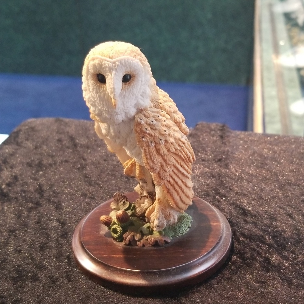 Barn Owl